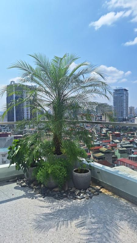 엠 빌리지 호텔 킴 마 - 호찌민묘소 인기 스팟