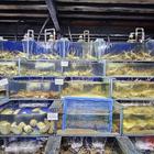 감성적인 푸꾸옥 하이산 돈 탐 훔 썸네일