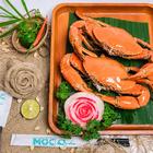 하이산 모크완 나트랑, 나트랑 여행 중 방문 썸네일