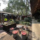 트룩람 커피, 하노이 여행 중 방문 썸네일