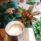 하노이 탕롱황성 드림 빈스 커피 로스터리 사진 썸네일