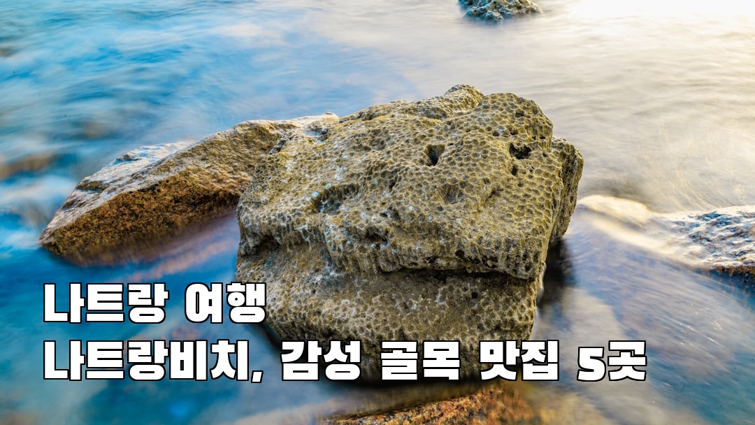 인스타 감성 나트랑여행 나트랑비치 친구랑여행