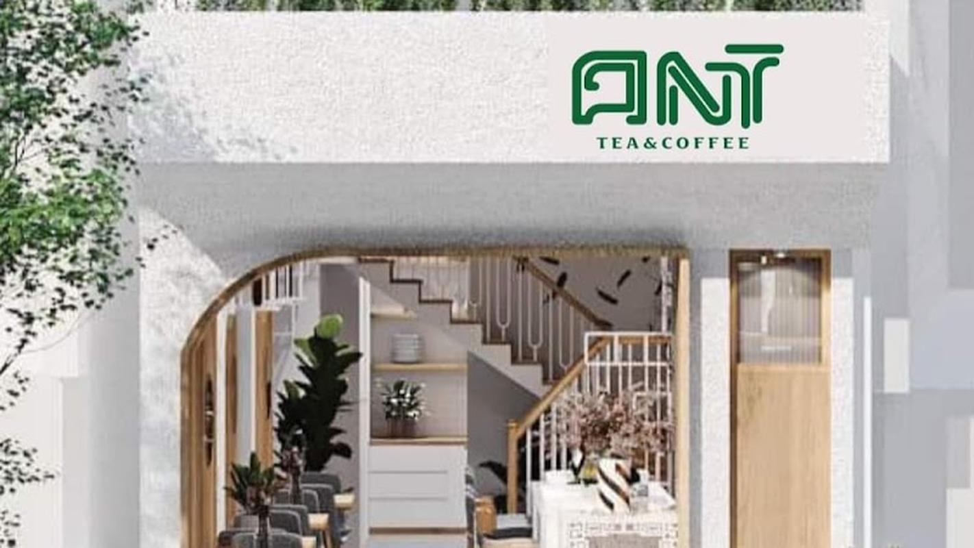 안트펫커피 - 스카이라이트나트랑 인기 스팟