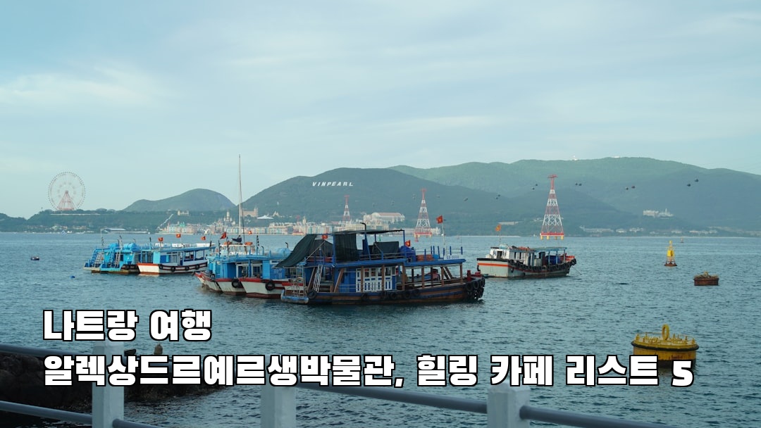 알렉상드르예르생박물관 친구랑여행