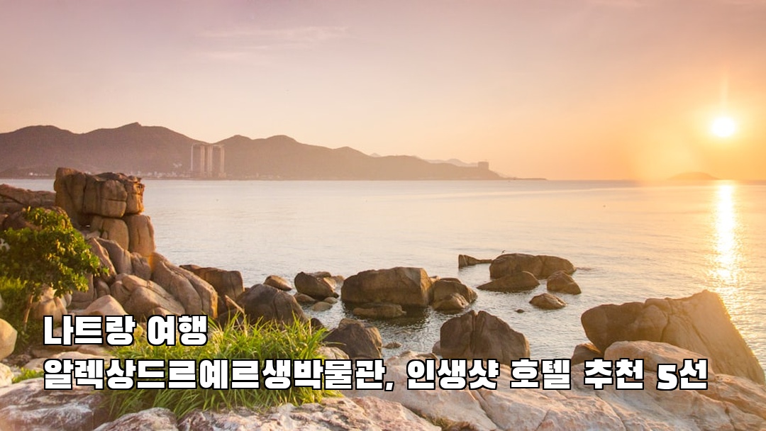나트랑여행 알렉상드르예르생박물관 여행안내