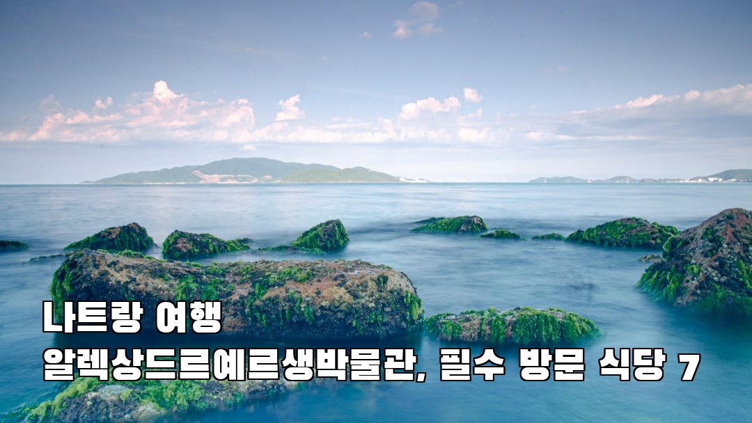 인스타 감성 나트랑여행 알렉상드르예르생박물관 지역정보