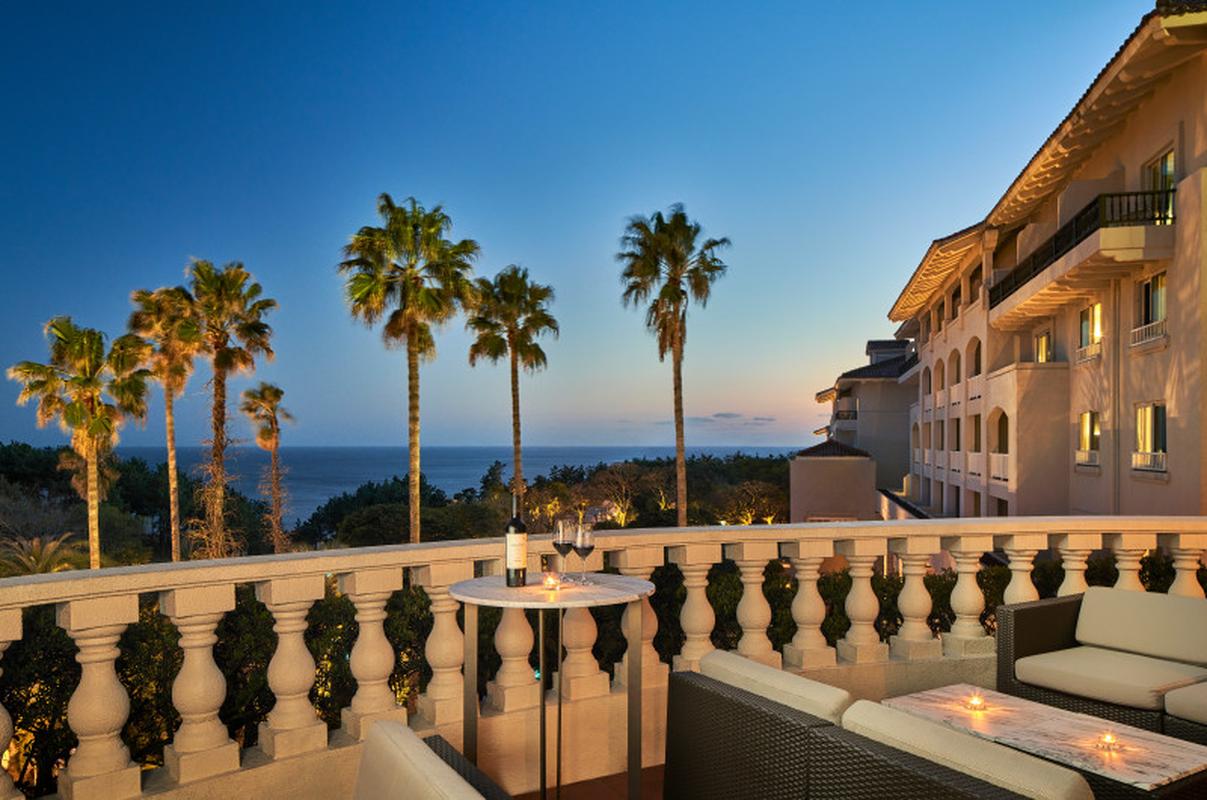 더 신라 제주 - 테디베어박물관 인기 스팟