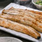 테디베어박물관 제주청기와장어 사진 썸네일