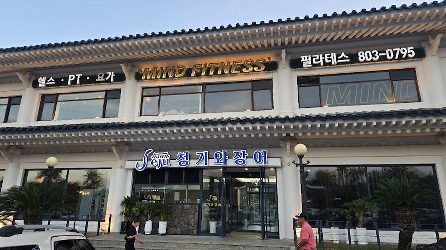 여행객 필수 테디베어박물관 제주청기와장어