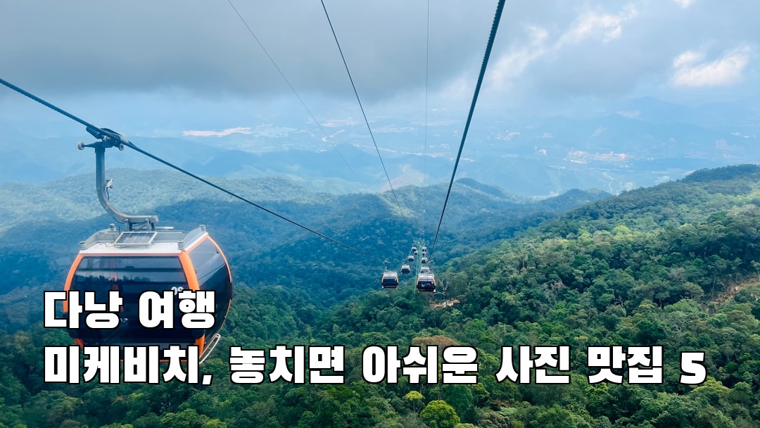 미케비치 지역정보