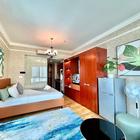 빈홈센트럴파크 디니 아파트호텔 사진 썸네일