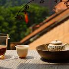 니코틴 티룸 앤 커피, 호치민 여행 중 방문 썸네일