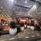 응곤 레스토랑 - 사이공오페라하우스 인기 스팟 썸네일