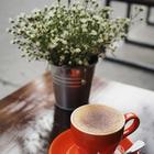 현지 느낌의 하노이 올드 프렌즈 커피 썸네일