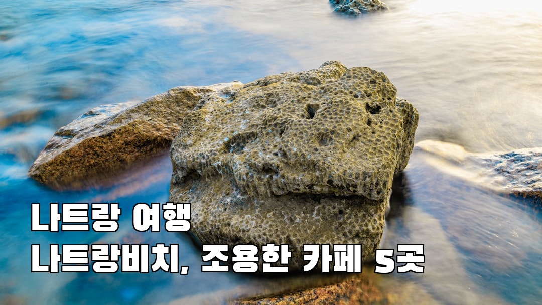 감성적인 나트랑여행 나트랑비치 현지정보