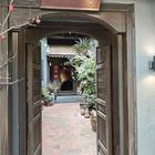 여행객 필수 매장 탐 비 썸네일